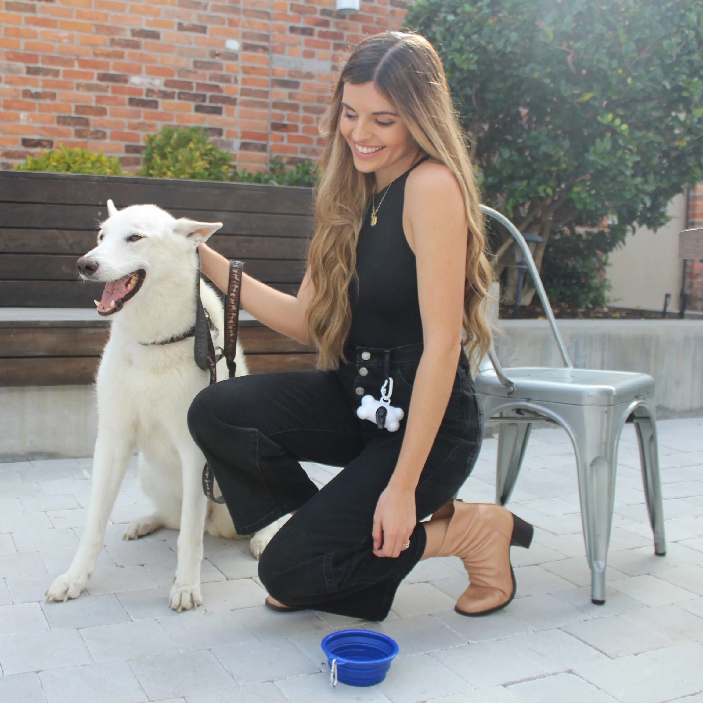 Collapsible Pet Bowl